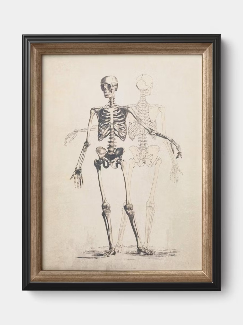 14"x18" Skeleton Halloween Wall Art Framed Dark Off-White - Threshold